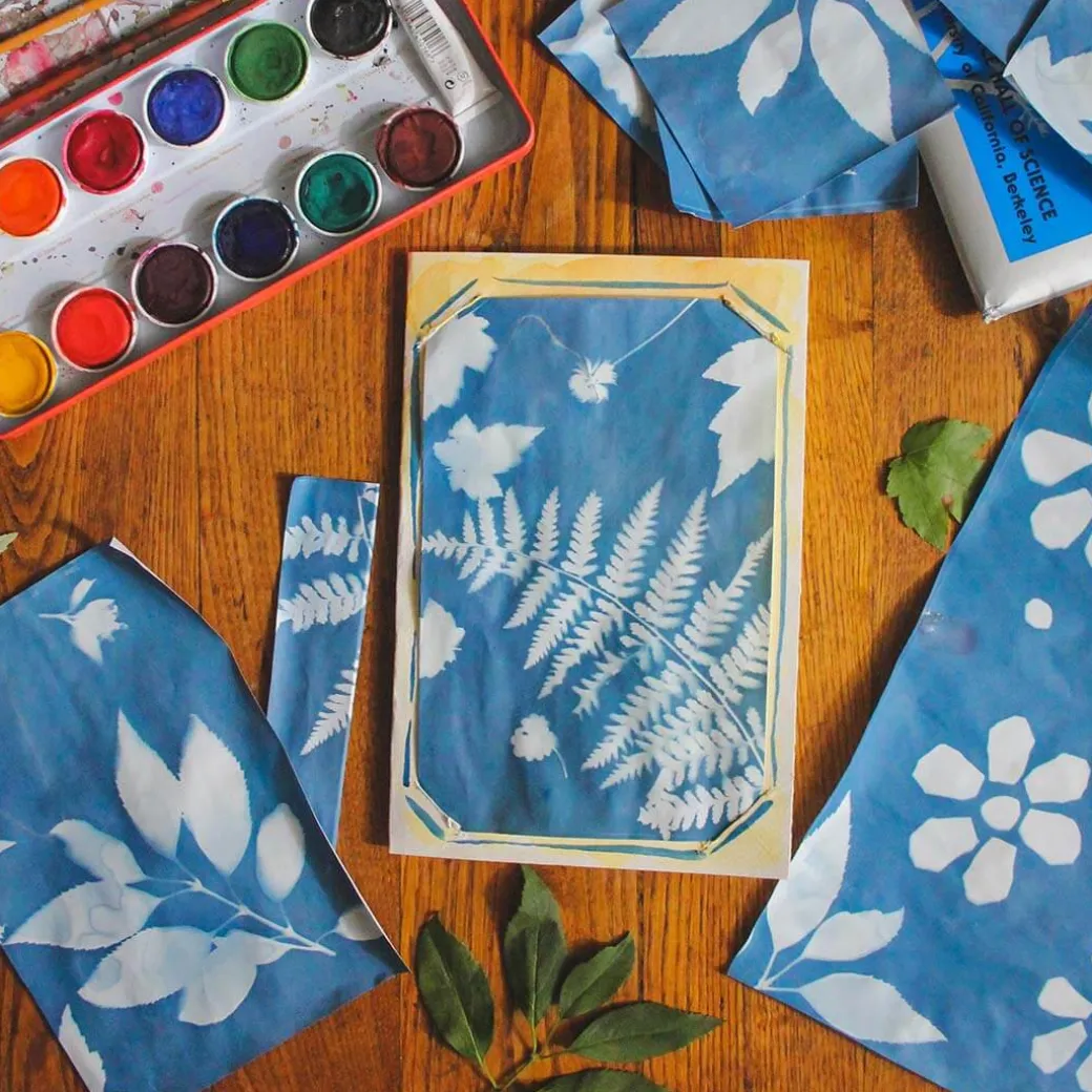 Sunprint Kit