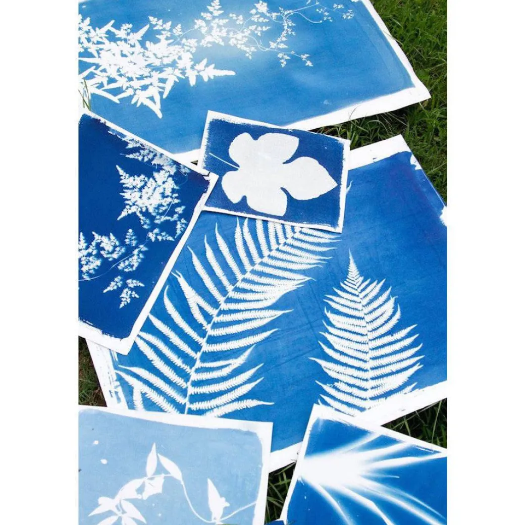 Sunprint Kit