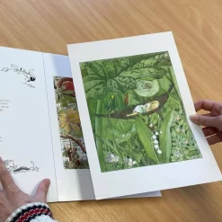 The Art of Elsa Beskow: 20 Pull-Out Frameable Prints
