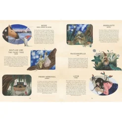 The Fairy Atlas