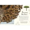 The Wonders of Nature
