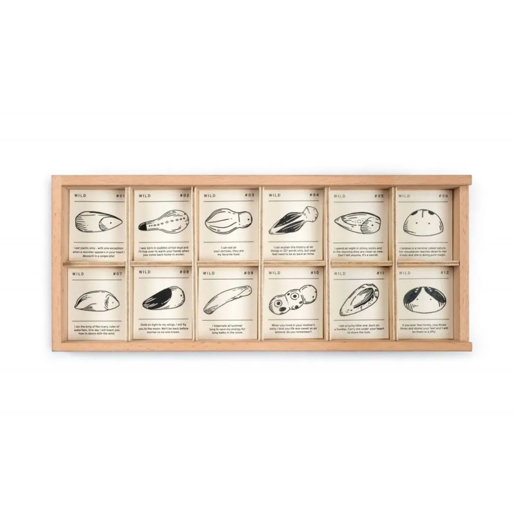 Wild: Exploration Play Set and Sorting Tray