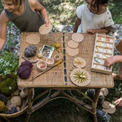 Wild: Exploration Play Set and Sorting Tray
