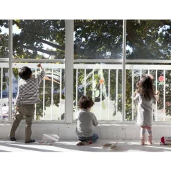 Window Crayons - 12 Sticks