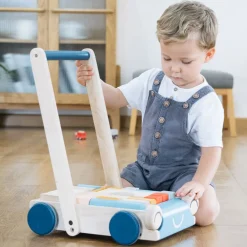 Wooden Baby Walker & Block Set