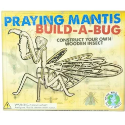 Wooden Build A Bug Kit