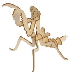 Wooden Build A Bug Kit