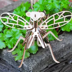 Wooden Build A Bug Kit