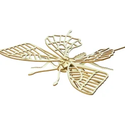Wooden Build A Bug Kit