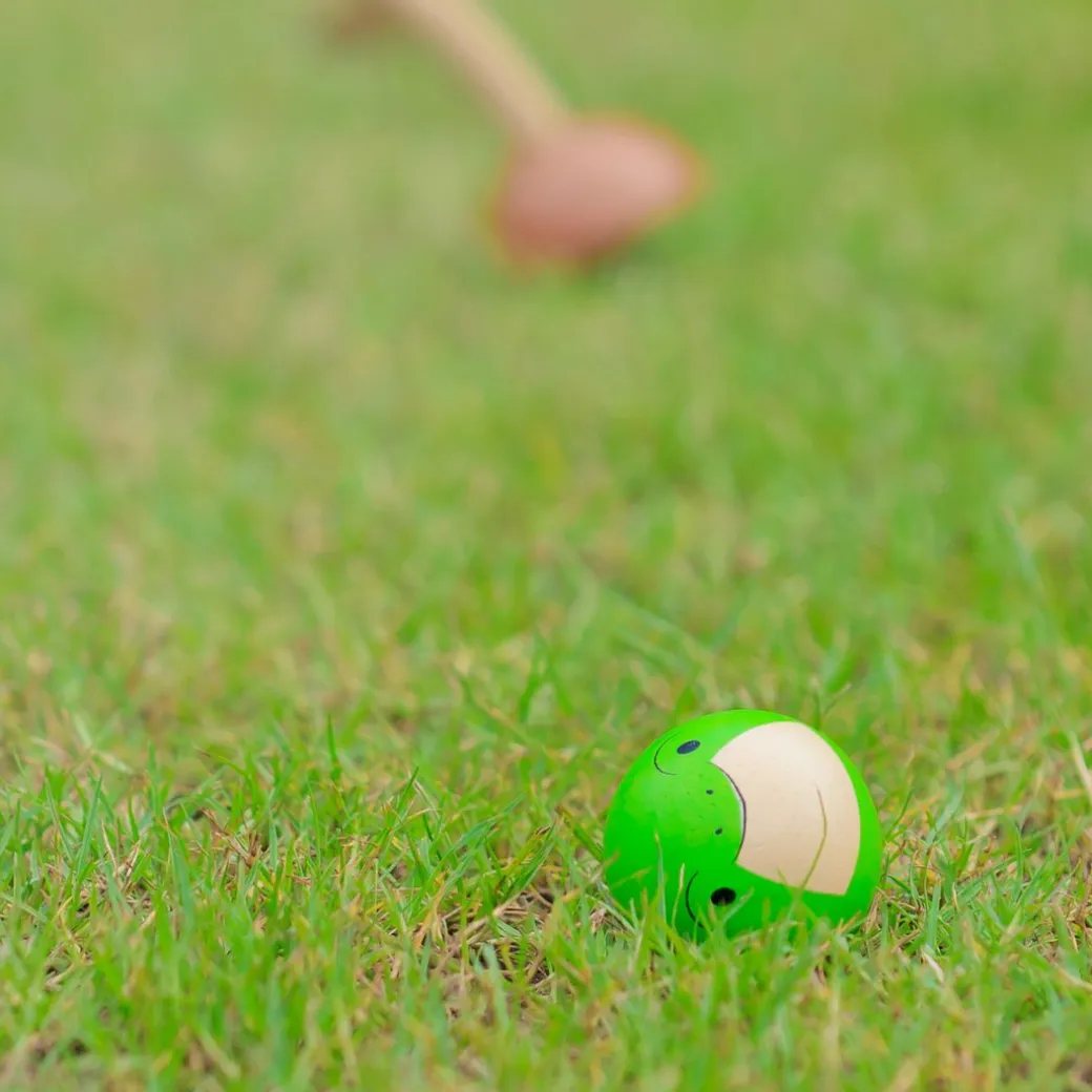 Wooden Croquet Set
