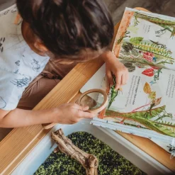 Wooden Magnifying Glass