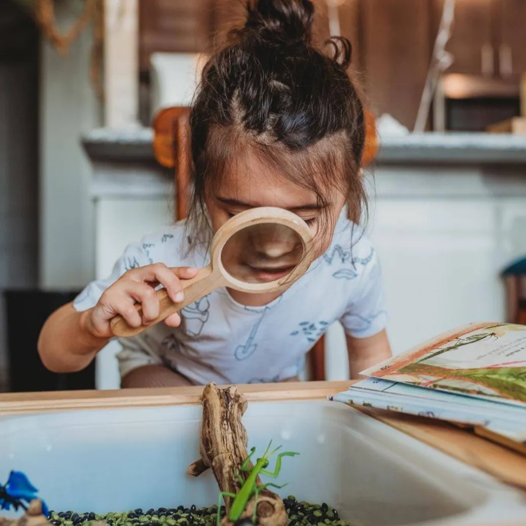 Wooden Magnifying Glass