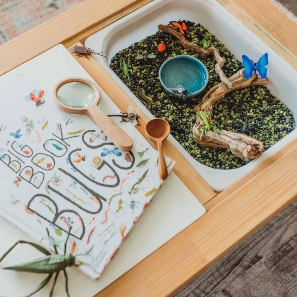 Wooden Magnifying Glass