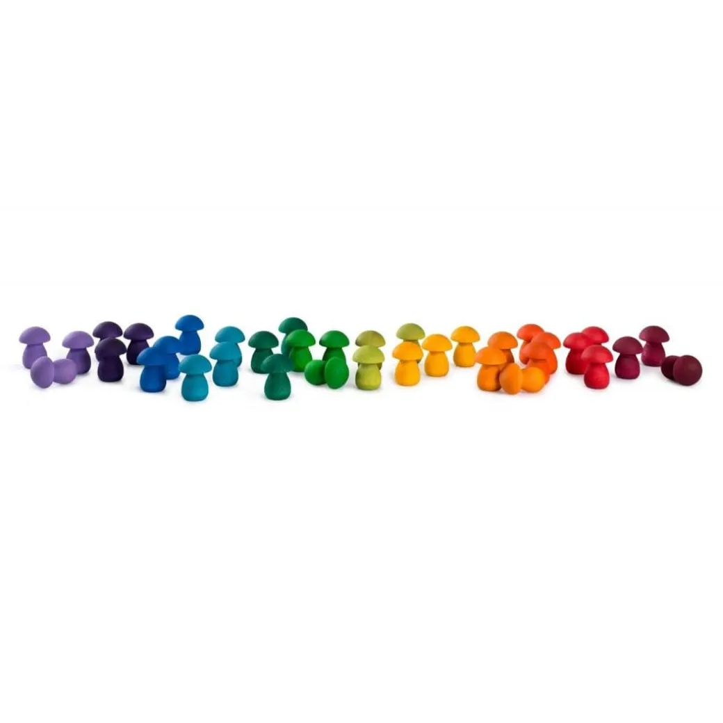 Wooden Mandala Set - Rainbow Mushrooms