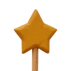 Wooden Star Wand