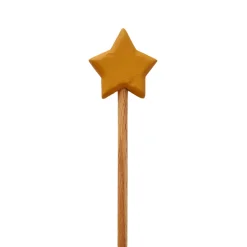 Wooden Star Wand